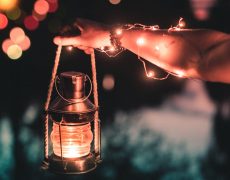Lampionnenoptocht 2017 met Sint Maarten in Westeraam